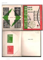 Saravá Oxossi - N. A. Molina.pdf